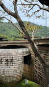 tohar.harosh Altpins Profile Picture