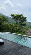 tohar.harosh Altpins Profile Picture