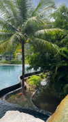 tohar.harosh Altpins Profile Picture