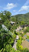 tohar.harosh Altpins Profile Picture