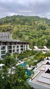 tohar.harosh Altpins Profile Picture