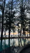 tohar.harosh Altpins Profile Picture