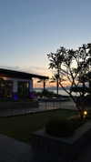 tohar.harosh Altpins Profile Picture