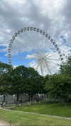 tohar.harosh Altpins Profile Picture