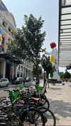tohar.harosh Altpins Profile Picture