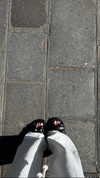 tohar.harosh Altpins Profile Picture