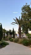 tohar.harosh Altpins Profile Picture