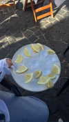 tohar.harosh Altpins Profile Picture