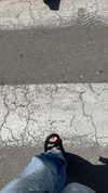 tohar.harosh Altpins Profile Picture