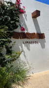 tohar.harosh Altpins Profile Picture