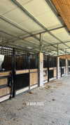 tohar.harosh Altpins Profile Picture