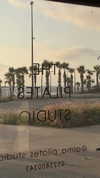 tohar.harosh Altpins Profile Picture