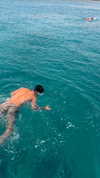 tohar.harosh Altpins Profile Picture
