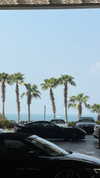 tohar.harosh Altpins Profile Picture