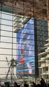 tohar.harosh Altpins Profile Picture