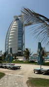 tohar.harosh Altpins Profile Picture