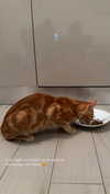tooonytoony Altpins Profile Picture