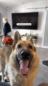 topaz_bn Altpins Profile Picture