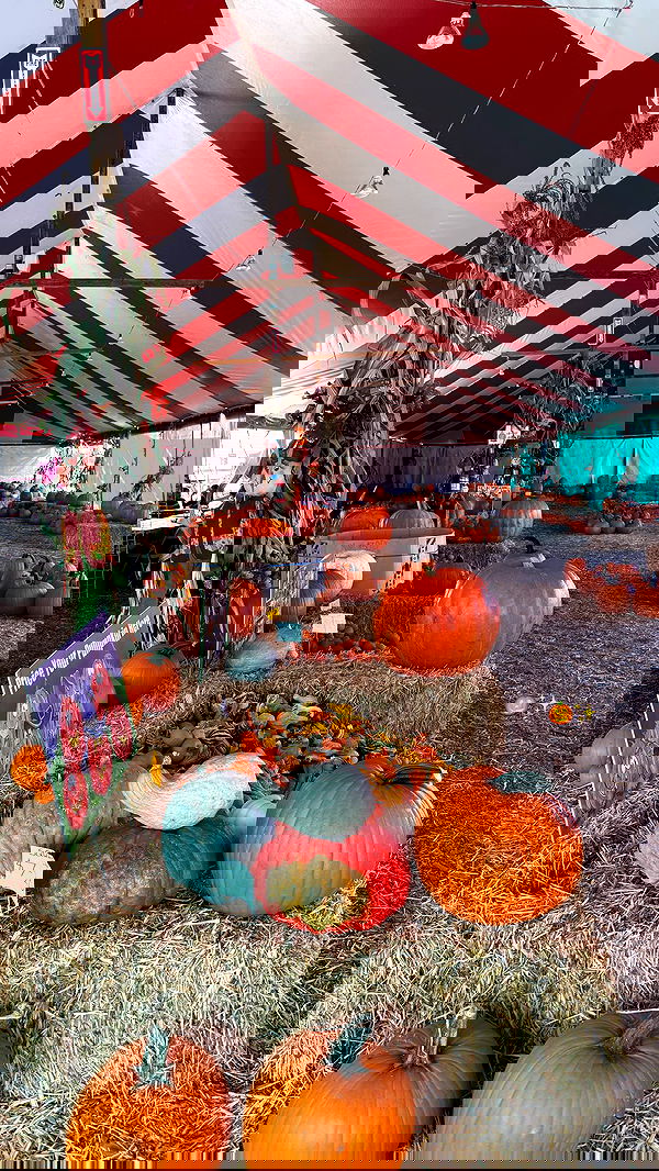 topaz_bn topaz_bn archive image