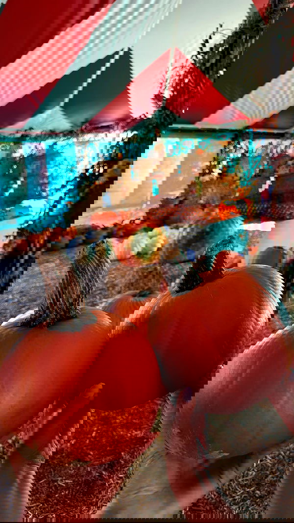 topaz_bn topaz_bn archive image