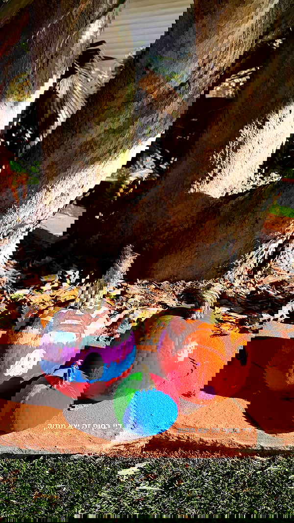 topaz_bn topaz_bn archive image