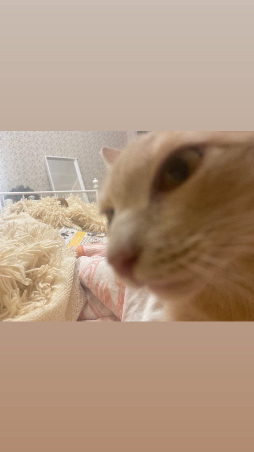 toriawashere instagram image archive image