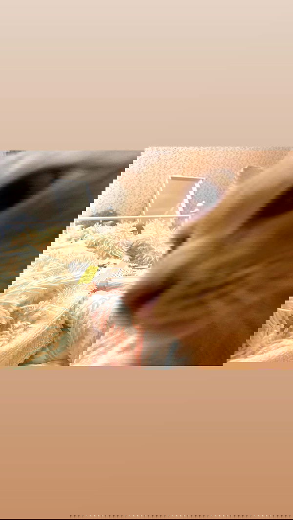 toriawashere image ~ Altpins