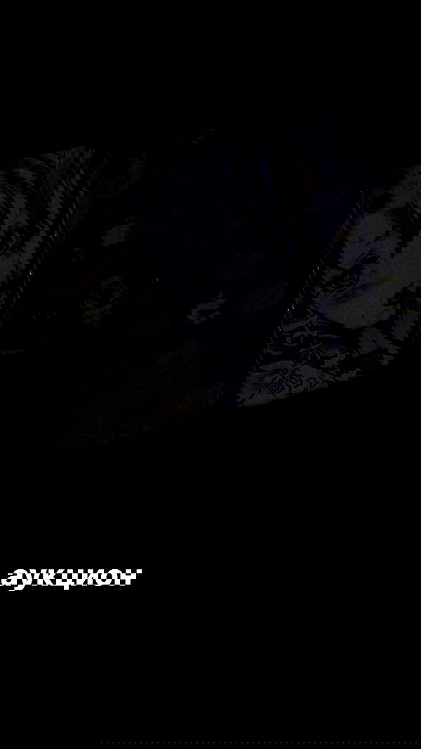 toriawashere image ~ Altpins