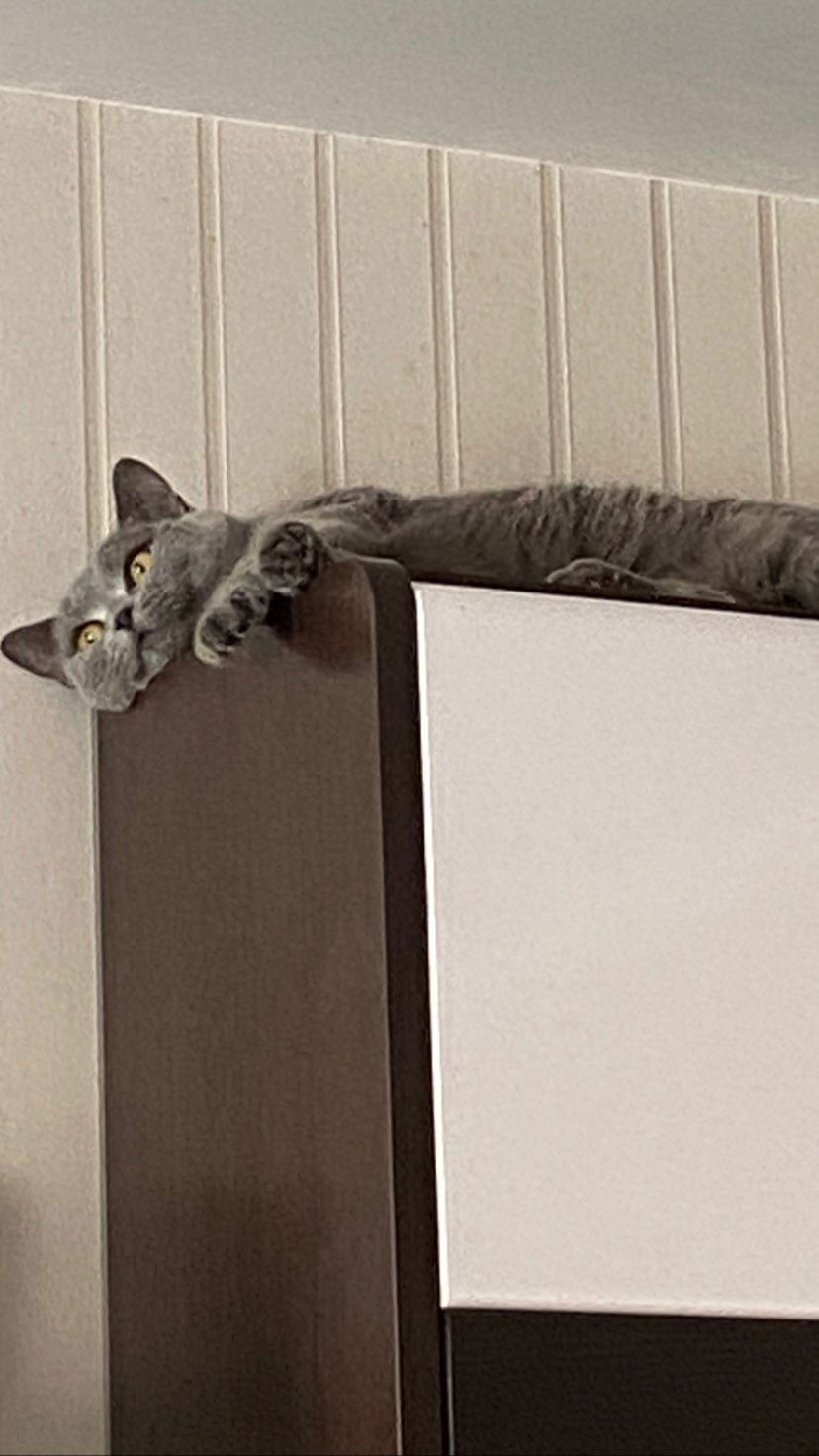 toriawashere instagram image archive image