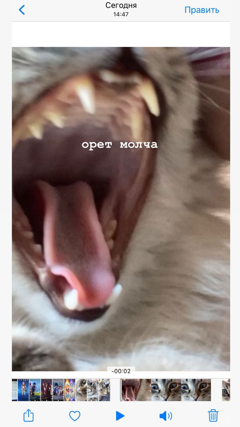 toriawashere instagram image archive image