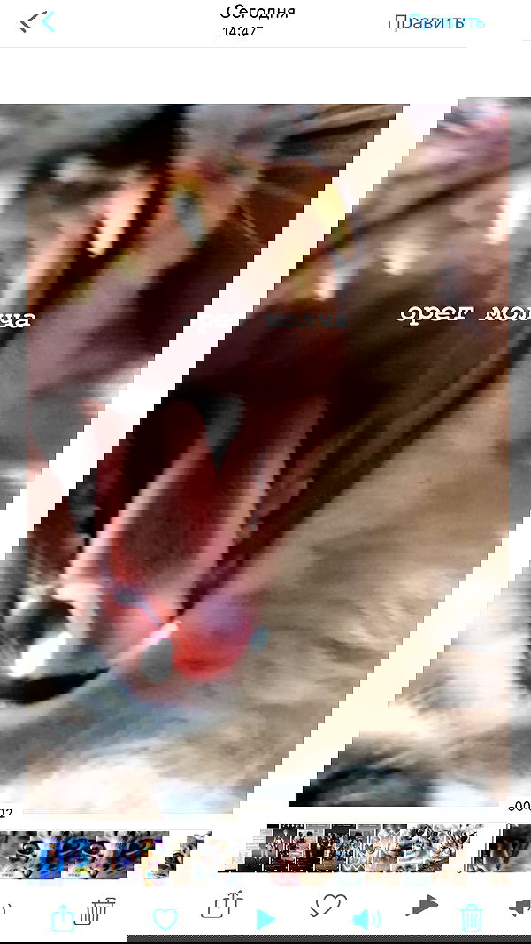 toriawashere image ~ Altpins