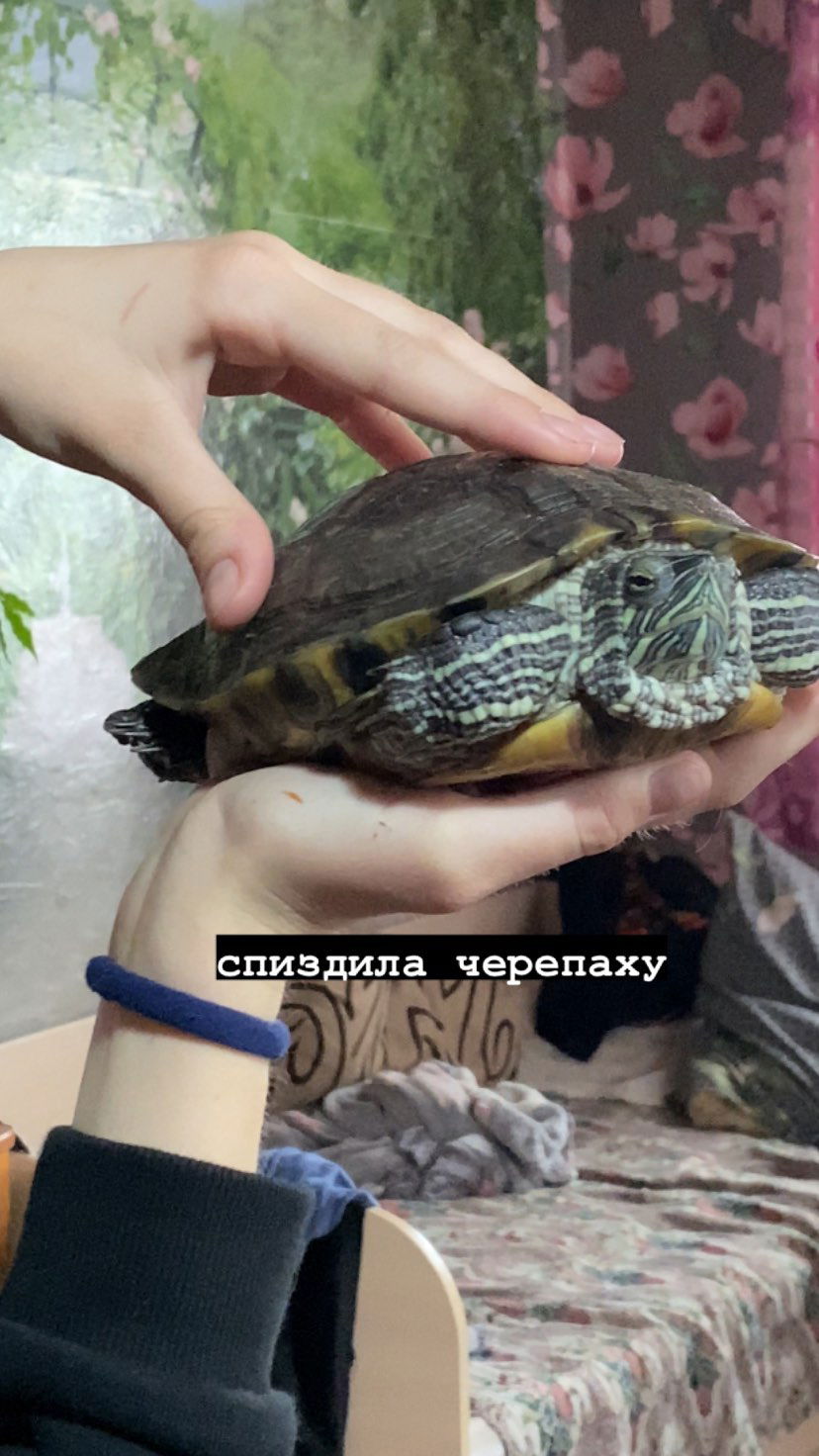 toriawashere instagram image archive image