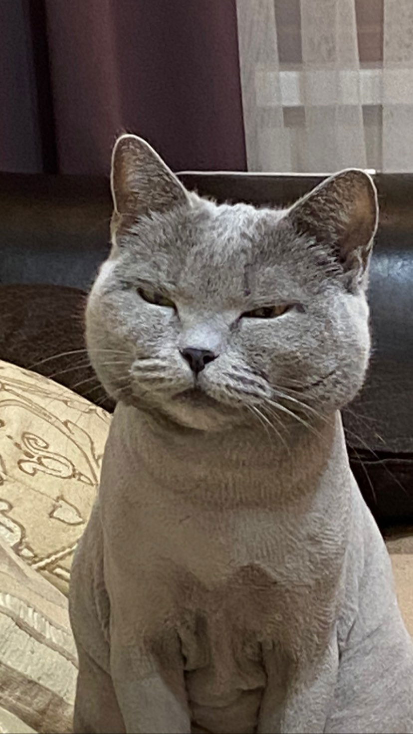 toriawashere instagram image archive image