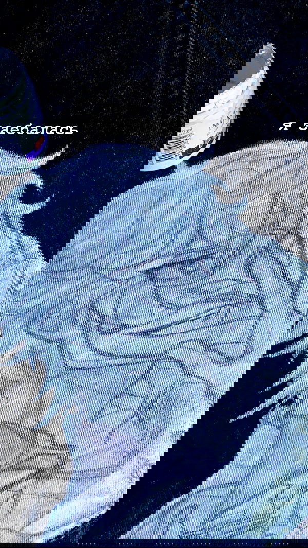 toriawashere image ~ Altpins