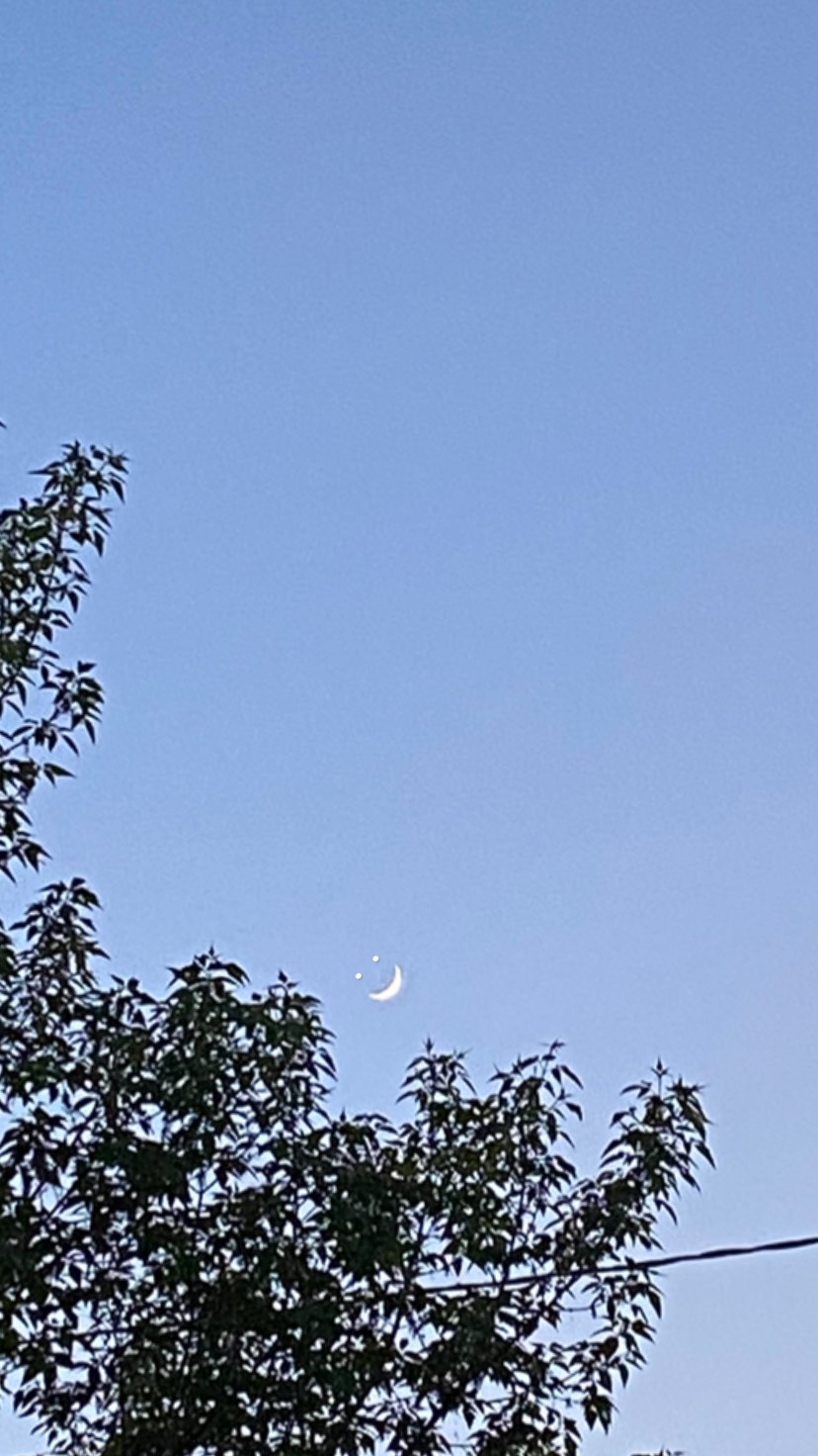 toriawashere instagram image archive image