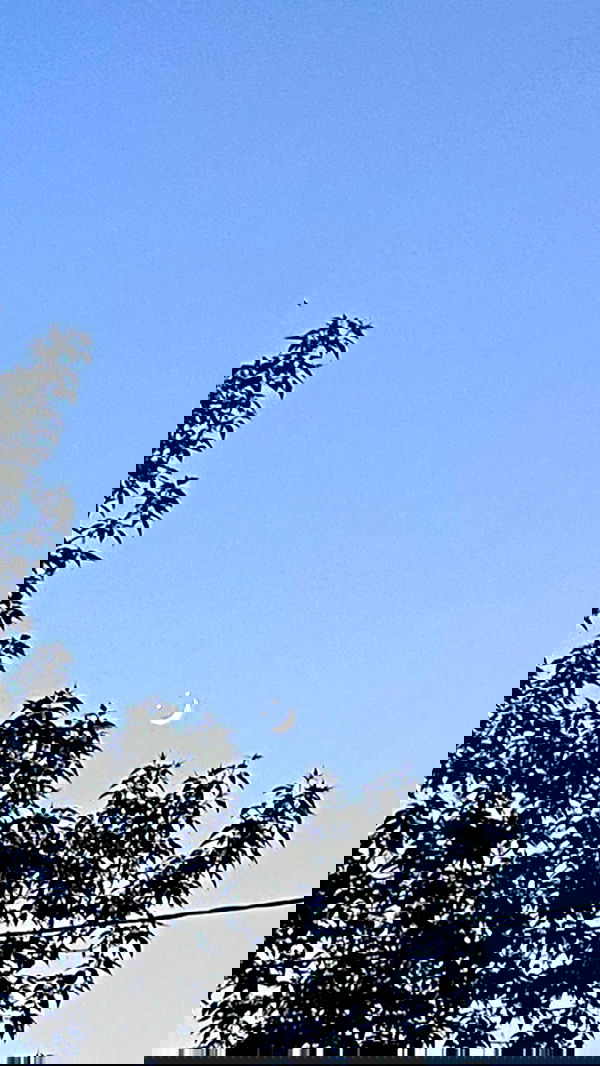 toriawashere image ~ Altpins