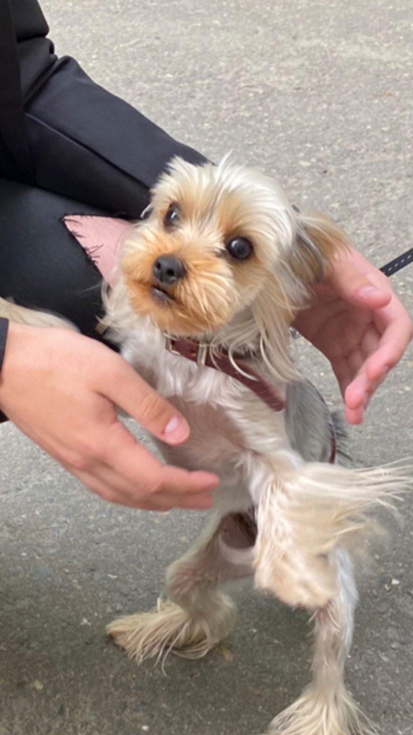 toriawashere instagram image archive image