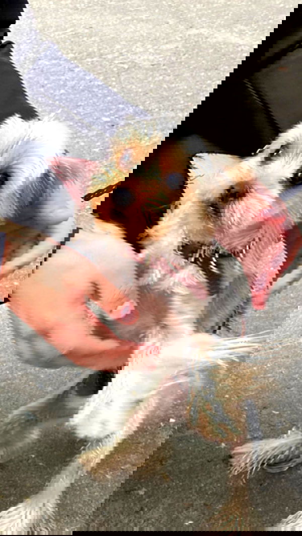 toriawashere image ~ Altpins