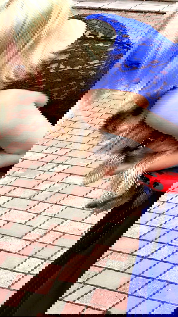 toriawashere image ~ Altpins