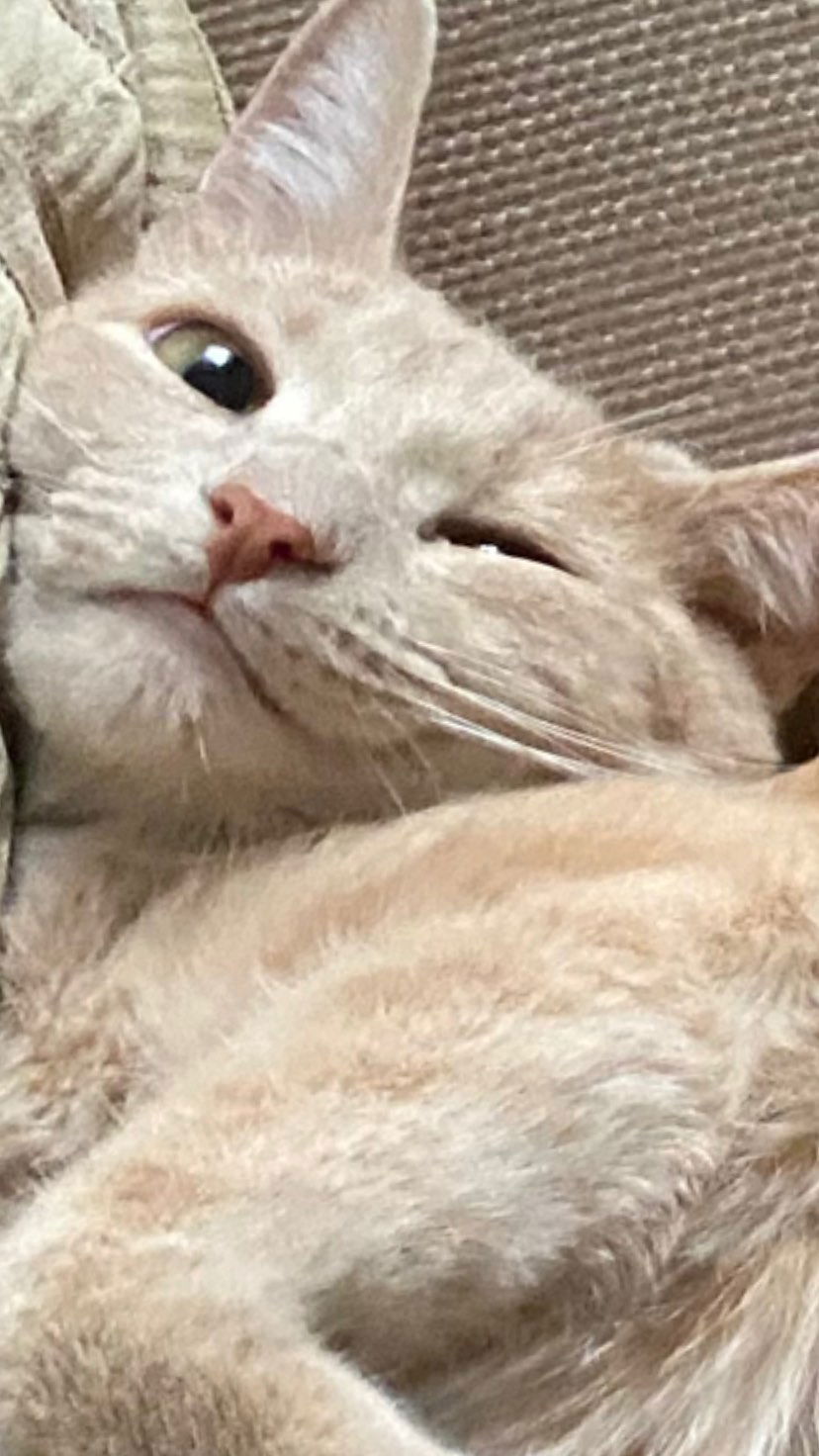 toriawashere instagram image archive image