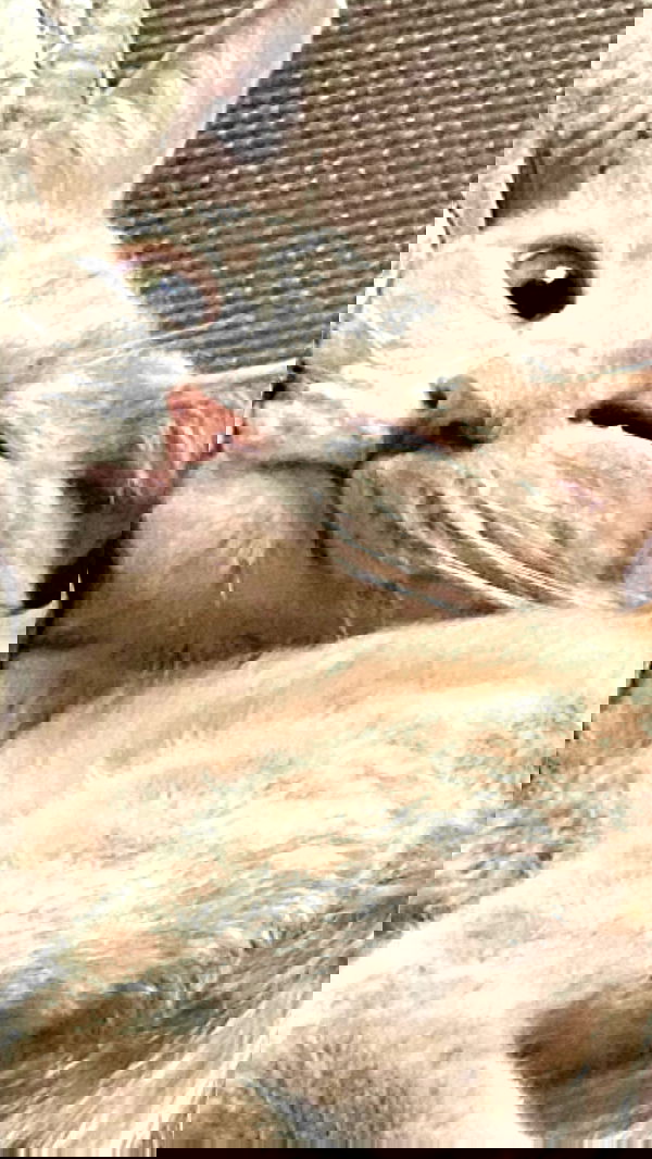 toriawashere image ~ Altpins