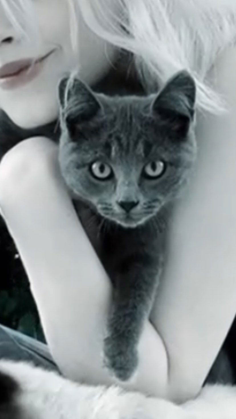 toriawashere instagram image archive image