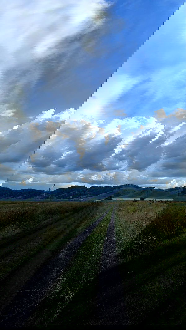 toriawashere image ~ Altpins