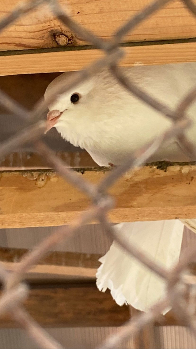 toriawashere instagram image archive image