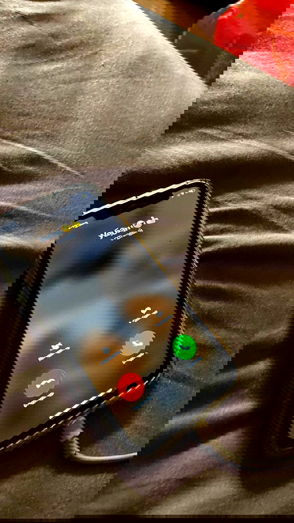 toriawashere image ~ Altpins