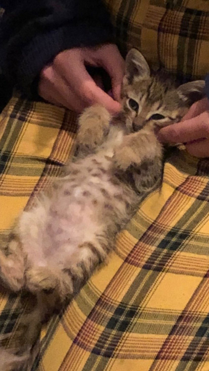 toriawashere instagram image archive image