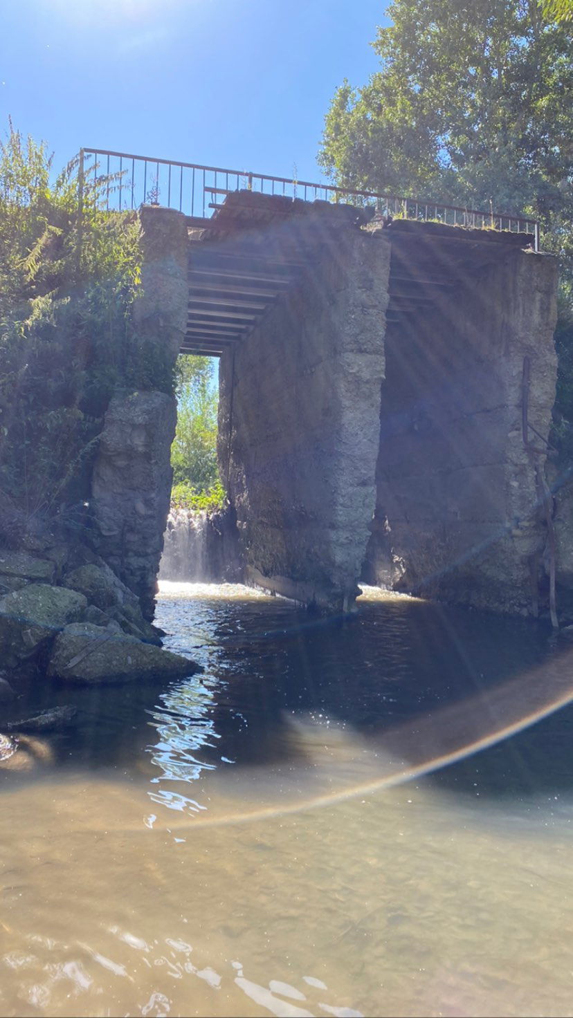 toriawashere instagram image archive image