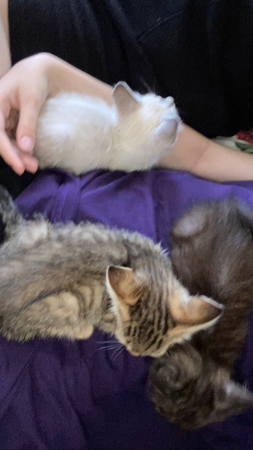 toriawashere instagram image archive image