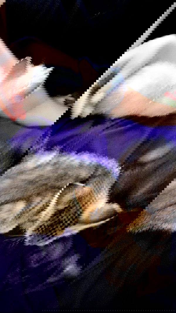 toriawashere image ~ Altpins