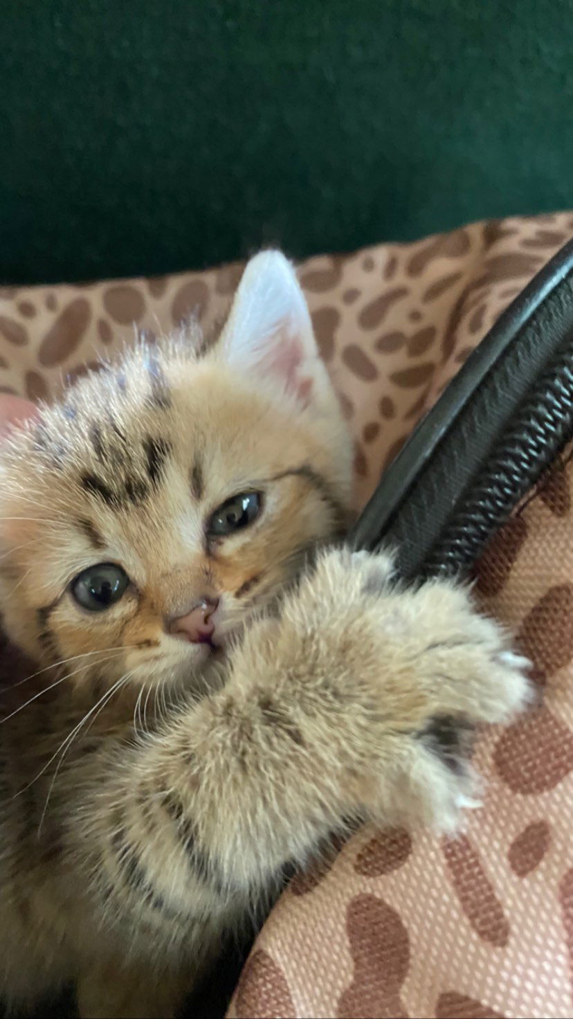 toriawashere instagram image archive image